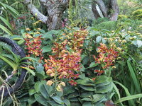 IMG_5951.jpeg