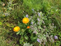 20190816_124910.jpg