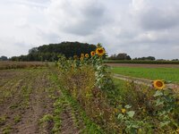 20190816_124946.jpg