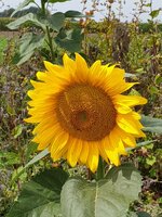 20190816_124938.jpg