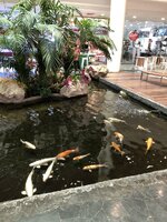 D0999A0A-C800-4EA9-B671-60E4CA80E5AF.jpeg