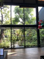 17F9911D-422A-4B60-83FD-BCF9146B594F.jpeg