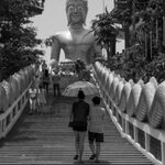 20150415-20150415-DSCF5766.jpg 20150415-20150415-DSCF5766.jpg