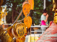 20190603_Pattaya-221.jpg 20190603_Pattaya-221.jpg