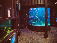 20190524_Pattaya_P20p-004.jpg 20190524_Pattaya_P20p-004.jpg