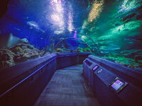 20190524_Pattaya_P20p-013.jpg 20190524_Pattaya_P20p-013.jpg