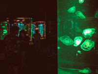 20190524_Pattaya_P20p-015.jpg 20190524_Pattaya_P20p-015.jpg