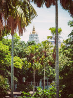 20190603_Pattaya-048.jpg 20190603_Pattaya-048.jpg