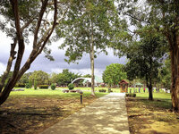 0226_Thailand-Huawei-27.jpg 0226_Thailand-Huawei-27.jpg