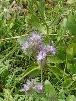 20190816_125001.jpg