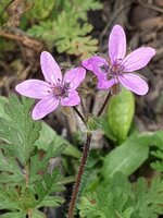 20190808_125243.jpg
