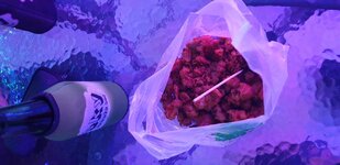 20191205_004931.jpg
