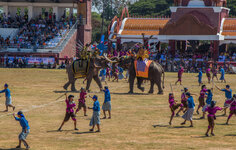 IMG_9425.jpg