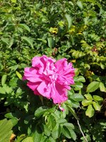 20190820_122637.jpg