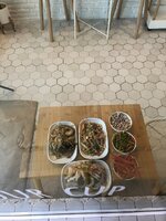 AEDBC9AD-C282-4BF0-8E51-B55FACC77397.jpeg