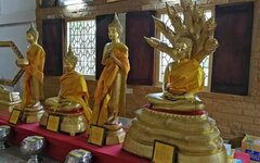 IMG_20191209_121954.jpg