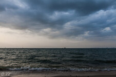 IMG_6864.jpg