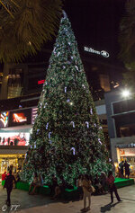 IMG_6887.jpg