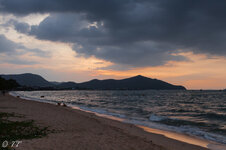 IMG_6875.jpg