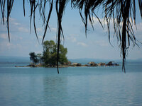 dscn0366.jpg