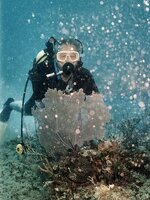 diving_kuba_888675.jpg