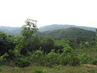 k800_img_6350.jpg