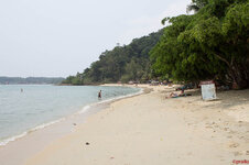 img_9909.jpg