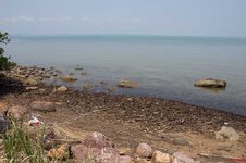 img_9955.jpg