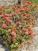k-20140313_135037.jpg