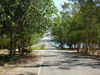 dscf6261.jpg dscf6261.jpg