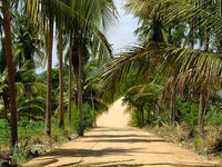 dscf6338.jpg dscf6338.jpg