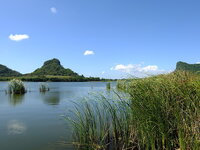 dscf6372.jpg dscf6372.jpg