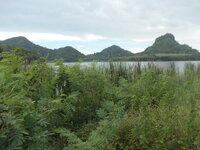 18384779tu.jpg 18384779tu.jpg