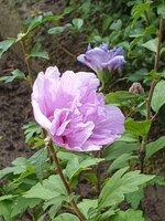 20190820_122751.jpg