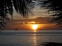 DSC02458a.JPG