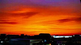 297AE876-6DA4-4EAA-88E9-66DED4D529AC.jpeg