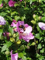 20190820_122851.jpg