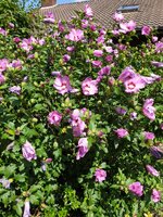 20190820_122842.jpg