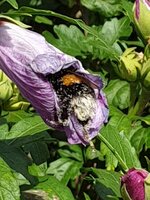 20190820_122903.jpg