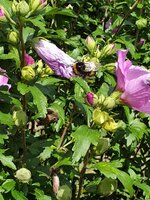 20190820_122858.jpg