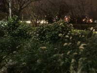 58D68D05-4BC1-4C7F-93AB-E53300E2B488.jpeg