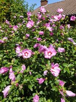 20190820_122909.jpg