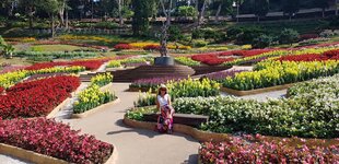 Garten3.jpg