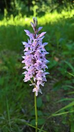 IMG-20181125-WA0022.jpg