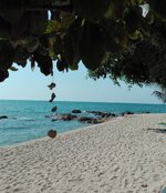 IMG_20200106_145404.jpg