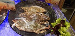 Seafood-HI9.jpg