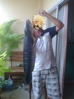 Giant Snakehead, 76 cm, above 5.9 Kg, Lake Maprachen 2011.jpg