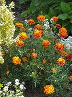 20190820_123140.jpg