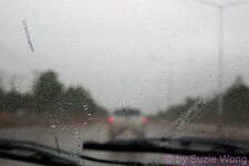 DSC05313.JPG