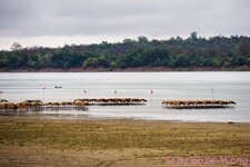 DSC05510.JPG